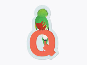 Klistermærker fra Bogstavzoo | Q for quetzal